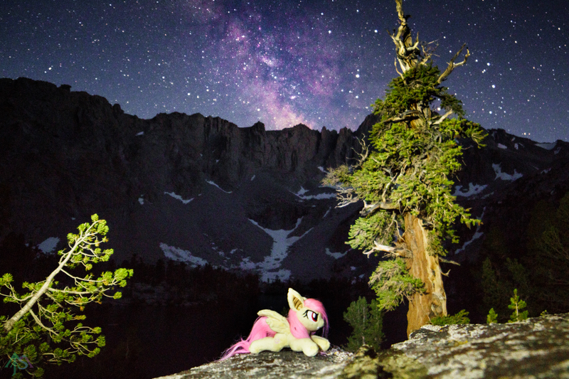 Size: 2500x1667 | Tagged: safe, artist:lanacraft, artist:natureshy, derpibooru import, fluttershy, bat pony, california, equestria: into the wild, flutterbat, hiking, irl, milky way galaxy, mountain, mountain range, nature, night, photo, plushie, ponies around the world, race swap, scenery, solo, stars, wallpaper