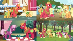 Size: 1688x948 | Tagged: safe, derpibooru import, edit, edited screencap, screencap, apple bloom, applejack, big macintosh, caramel, cheerilee, comet tail, granny smith, lemon hearts, linky, lyra heartstrings, sassaflash, scootaloo, shoeshine, spring melody, sprinkle medley, sweetie belle, pony, hearts and hooves day (episode), ponyville confidential, the super speedy cider squeezy 6000, winter wrap up, comparison, cutie mark crusaders, hub logo, inconsistency, size comparison