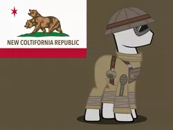 Size: 1600x1200 | Tagged: safe, artist:reisen514, derpibooru import, pony, fallout equestria, brown background, clothes, fallout, fallout: new vegas, flag, military, military uniform, ncr, new california republic, new canterlot republic, simple background
