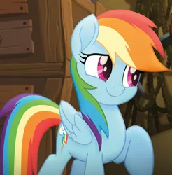 Size: 700x710 | Tagged: safe, derpibooru import, screencap, rainbow dash, dragon, pegasus, pony, my little pony: the movie, spoiler:my little pony movie the junior novel, clip, cropped, cute, dashabetes, female, looking at each other, male, mare, smiling, solo