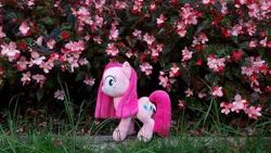 Size: 960x540 | Tagged: cute, cuteamena, derpibooru import, flower, hedge, irl, photo, pink, pinkamena diane pie, pinkie pie, plushie, safe