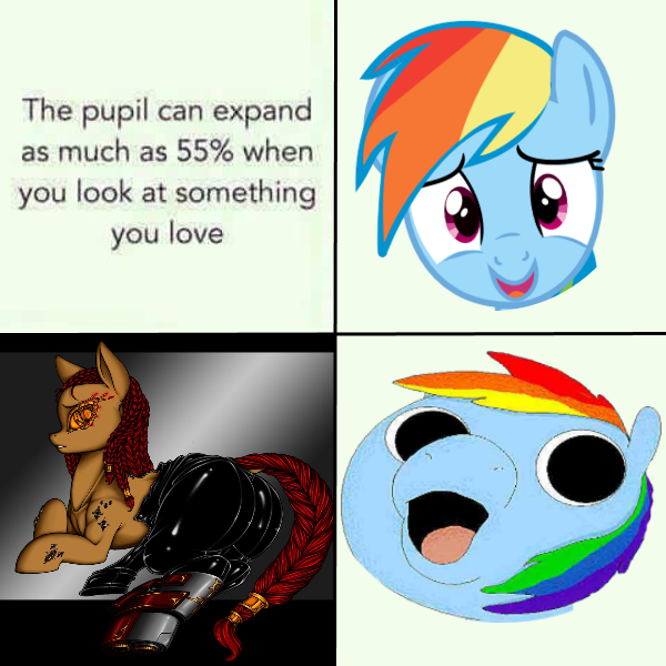 Size: 600x600 | Tagged: suggestive, artist:applebeans, artist:longinius, derpibooru import, edit, rainbow dash, oc, oc:roarke, earth pony, pegasus, pony, fanfic:austraeoh, big pupils, clothes, comic, disembodied head, dreadlocks, duo, english, exploitable meme, faic, female, females only, latex, latex suit, looking back, lying, mare, meme, oh boy, open mouth, overalls, plot, prone, pupils, rear view, suit, tail aside, text, tight clothing, undressing, wide eyes