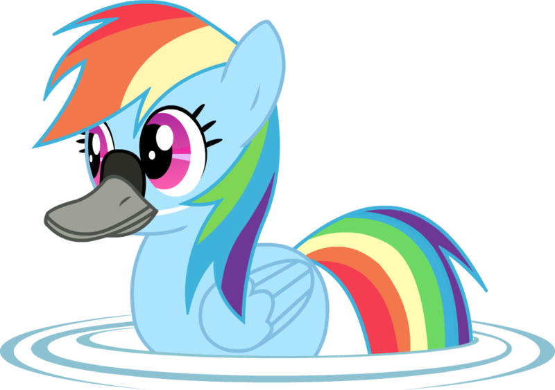 Size: 994x700 | Tagged: safe, artist:twitchy-tremor, derpibooru import, rainbow dash, bird, duck, duck pony, goose, pegasus, pony, swan, animal, duck bill, female, literal duck face, mare, pegaduck, rainbow duck, simple background, solo, swimming, transparent background