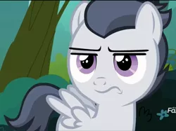 Size: 994x742 | Tagged: safe, derpibooru import, screencap, rumble, pegasus, pony, marks and recreation, colt, cropped, discovery family logo, male, rumble is not amused, solo, unamused