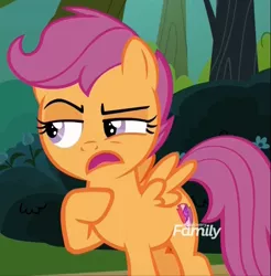 Size: 694x706 | Tagged: safe, derpibooru import, screencap, scootaloo, pony, marks and recreation, discovery family logo, solo focus