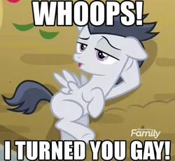 Size: 831x768 | Tagged: safe, derpibooru import, edit, edited screencap, editor:anonycat, screencap, rumble, pegasus, pony, marks and recreation, colt, draw me like one of your french girls, gay, image macro, lying, male, meme, side, solo, stupid sexy rumble, whoops