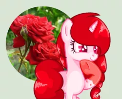 Size: 1022x828 | Tagged: safe, artist:xxreddevil12xx, derpibooru import, oc, oc:rose lovegood, unofficial characters only, pony, unicorn, female, flower, mare, rose, solo