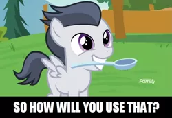 Size: 1277x879 | Tagged: safe, derpibooru import, rumble, pegasus, pony, marks and recreation, colt, cute, discovery family logo, eager, image macro, male, meme, mouth hold, rumblebetes, solo, spoon