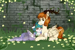 Size: 2560x1707 | Tagged: derpibooru import, miraestia, oc, oc:king mirael, princess celestia, safe