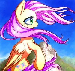 Size: 1620x1550 | Tagged: safe, artist:tangankittentail, derpibooru import, fluttershy, pegasus, pony, bipedal, color porn, eyestrain warning, mountain, solo, windswept mane