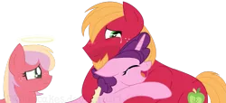 Size: 1409x641 | Tagged: safe, artist:ipandacakes, derpibooru import, big macintosh, sugar belle, oc, oc:gala blossom, ghost, pony, crying, female, halo, male, shipping, simple background, straight, sugarmac, tears of joy, transparent background