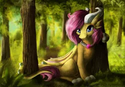 Size: 1024x711 | Tagged: artist:aschenstern, commission, curved horn, derpibooru import, dragon, forest, male, necklace, not fluttershy, oc, safe, scenery, sitting, solo, sunlight, tree, unofficial characters only