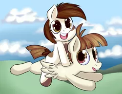 Size: 1925x1488 | Tagged: safe, artist:zanezandell, derpibooru import, featherweight, pipsqueak, earth pony, pegasus, pony, cute, duo, featherbetes, flying, open mouth, ponies riding ponies, squeakabetes