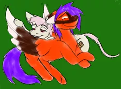 Size: 1394x1032 | Tagged: safe, artist:wesleyfoxx, derpibooru import, oc, oc:wesley foxx, unofficial characters only, earth pony, pegasus, pony, colored, preening