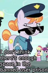 Size: 500x759 | Tagged: safe, derpibooru import, edit, edited screencap, screencap, copper top, luckette, pinot noir, shiraz, silver berry, earth pony, pony, the gift of the maud pie, confused, cuffs, cute, female, frown, image macro, meme, one eye closed, police officer, police pony, solo focus, sunglasses, wink