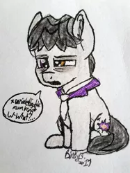 Size: 1832x2443 | Tagged: safe, artist:binkyt11, derpibooru import, withers, earth pony, pony, bags under eyes, chibi, ear fluff, henchmen, heterochromia, male, missing accessory, solo, stallion, tired, traditional art