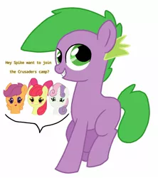 Size: 1251x1410 | Tagged: safe, artist:dsfranch, derpibooru import, apple bloom, scootaloo, spike, sweetie belle, ponified, pony, chibi, cutie mark crusaders, dialogue, female, implied shipping, implied spikebloom, male, ponified spike, shipping, simple background, species swap, spikebloom, straight, white background