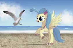 Size: 1500x1000 | Tagged: artist:songbirdserenade, beach, bird, classical hippogriff, colored pupils, cute, derpibooru import, female, flower, flower in hair, happy, hippogriff, jewelry, looking at something, my little pony: the movie, necklace, ocean, princess skystar, rearing, safe, seagull, skyabetes, smiling, solo, spread wings, unshorn fetlocks, water, wings