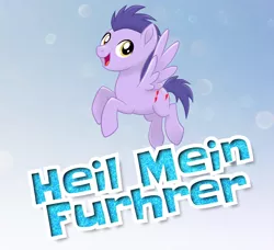 Size: 1268x1155 | Tagged: safe, deleted from derpibooru, derpibooru import, edit, oc, oc:heil mein furhrer, unofficial characters only, earth pony, pony, my little pony: the movie, male, mlp movie pony maker, nazi, shitposting, simple background, solo
