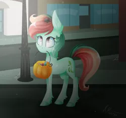 Size: 1024x953 | Tagged: safe, artist:wintersnowy, derpibooru import, oc, oc:gummy horizon, unofficial characters only, earth pony, pony, spider, mouth hold, nightmare night, pumpkin, pumpkin bucket, rainbow hair, unshorn fetlocks