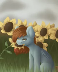 Size: 2840x3500 | Tagged: safe, artist:spirit-dude, derpibooru import, oc, oc:spirit rose, unofficial characters only, pegasus, pony, eating, female, flower, flower in mouth, grass, herbivore, horses doing horse things, mare, mouth hold, solo, sunflower