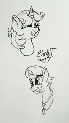 Size: 1836x3264 | Tagged: safe, artist:binkyt11, derpibooru import, raspberry sorbet, star tracker, pony, once upon a zeppelin, bust, female, grin, lanyard, lip bite, male, mare, monochrome, portrait, smiling, stallion, that was fast, traditional art, wavy mouth