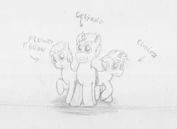 Size: 2299x1670 | Tagged: artist:geljado, derpibooru import, monochrome, oc, oc:ciroless, oc:flower follow, oc:geljado, safe, sketch, traditional art, unofficial characters only