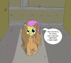 Size: 500x441 | Tagged: artist needed, safe, derpibooru import, fluttershy, fairy, pegasus, pony, color, dialogue, dude let me in, looking at you, meme, messy, mud, muddy, night, outdoors, solo, speech bubble, standing, street, talking