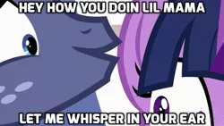 Size: 1024x576 | Tagged: safe, derpibooru import, edit, edited screencap, screencap, star tracker, twilight sparkle, twilight sparkle (alicorn), alicorn, pony, once upon a zeppelin, caption, image macro, meme, song reference, wait, whisper, ying yang twins