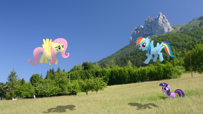 Size: 2120x1192 | Tagged: artist:stormxf3, derpibooru import, fluttershy, irl, photo, ponies in real life, rainbow dash, safe