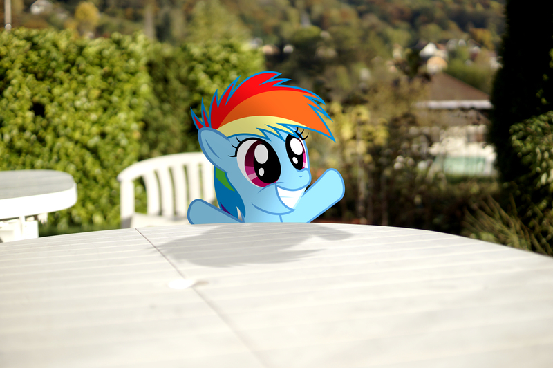 Artist Stormxf3 Derpibooru Import Fanfic My Little Dashie Female Filly Filly Rainbow Dash Irl Photo Ponies In Real Life Rainbow Dash Safe Solo Younger Twibooru