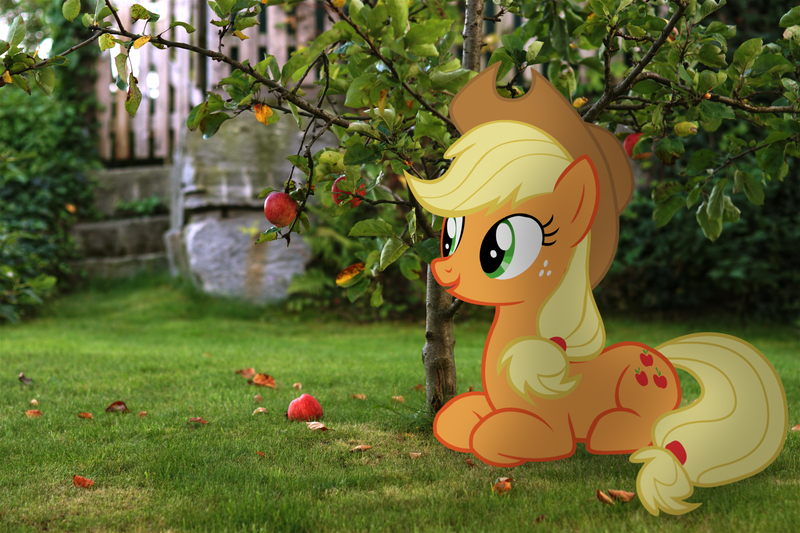 Applejack Artist Stormxf3 Derpibooru Import Irl Photo Ponies In Real Life Safe Solo Twibooru