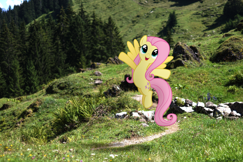 Artist Stormxf3 Derpibooru Import Fluttershy Irl Photo Ponies In Real Life Safe Solo Twibooru