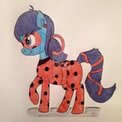 Size: 1024x1024 | Tagged: safe, artist:shinycyan, derpibooru import, ponified, pony, miraculous ladybug, solo, traditional art, watermark