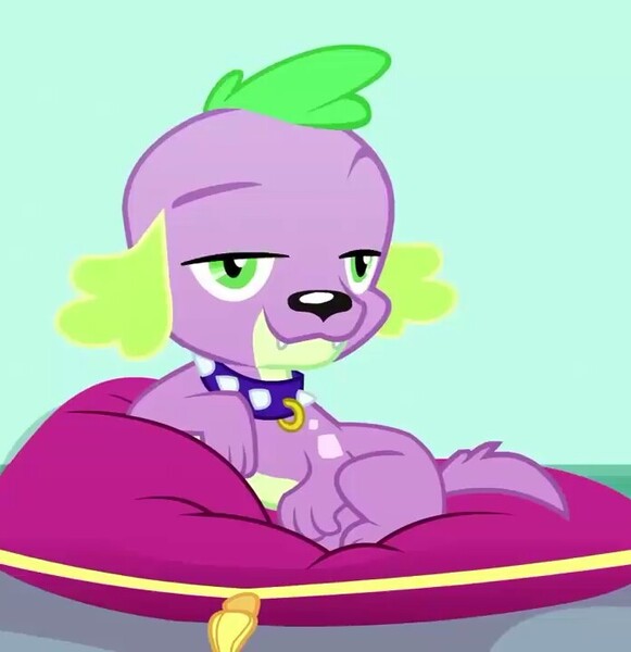 Size: 697x720 | Tagged: safe, derpibooru import, screencap, spike, spike the regular dog, dog, eqg summertime shorts, equestria girls, pet project, cropped, dreamworks face, looking at you, paws, puppy, raised eyebrow, smiling