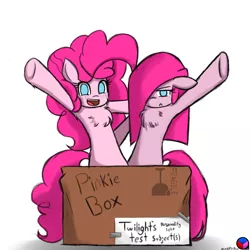 Size: 1280x1280 | Tagged: safe, artist:genericmlp, derpibooru import, pinkie pie, pony, box, chest fluff, duality, pinkamena diane pie, pony in a box, self ponidox