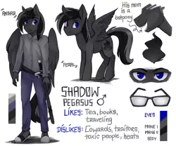 Size: 1280x1067 | Tagged: anthro, artist:varllai, blue eyes, clothes, commission, derpibooru import, glasses, male, oc, oc:shadow, pegasus, plantigrade anthro, reference sheet, safe, sharp teeth, simple background, sword, teeth, unofficial characters only, weapon, white background