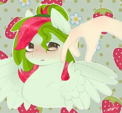 Size: 1125x1040 | Tagged: safe, artist:anfytamin, derpibooru import, oc, oc:watermelana, unofficial characters only, human, pony, blushing, bust, food, freckles, hand, offscreen character, petting, solo, strawberry, stroking