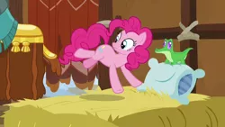 Size: 1280x720 | Tagged: safe, derpibooru import, screencap, gummy, pinkie pie, prince rutherford, pony, yak, not asking for trouble, hay, hay bale, pinkie being pinkie, pinkie physics