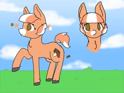 Size: 1600x1200 | Tagged: safe, artist:nootaz, derpibooru import, oc, oc:pony, unofficial characters only, reference sheet