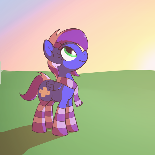 Size: 2048x2048 | Tagged: safe, artist:wenni, derpibooru import, oc, unofficial characters only, pegasus, pony, clothes, female, mare, scarf, socks, solo, striped socks, sun, sunrise