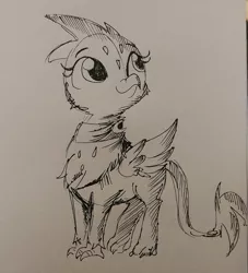 Size: 1440x1584 | Tagged: safe, artist:tjpones, derpibooru import, greta, gryphon, black and white, clothes, cute, grayscale, gretadorable, inktober, monochrome, scarf, sketch, solo, traditional art
