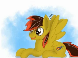 Size: 3048x2280 | Tagged: safe, artist:deejayarts, derpibooru import, oc, unofficial characters only, pegasus, pony, lying down, male, simple background, solo