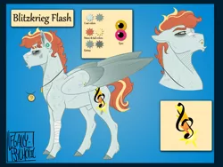 Size: 2000x1500 | Tagged: safe, artist:legally-psychotic, derpibooru import, oc, oc:blitzkrieg flash, unofficial characters only, pegasus, pony, magical lesbian spawn, male, offspring, parent:oc:stained glass, parent:rainbow dash, parents:canon x oc, reference sheet, solo, stallion