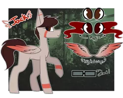 Size: 5000x4000 | Tagged: safe, artist:umiimou, derpibooru import, oc, oc:jack, unofficial characters only, pegasus, pony, absurd resolution, male, reference sheet, solo, stallion