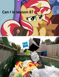 Size: 888x1148 | Tagged: safe, derpibooru import, sunset shimmer, pony, abuse, bags, drama, grammar error, hasbro, magic mirror, shimmerbuse, trash