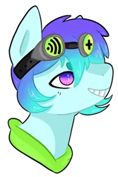 Size: 600x900 | Tagged: safe, artist:veincchi, derpibooru import, oc, oc:raven mcchippy, unofficial characters only, earth pony, pony, bust, goggles, grin, simple background, smiling, solo, transparent background