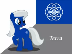 Size: 1600x1200 | Tagged: safe, artist:reisen514, derpibooru import, oc, oc:terra, unofficial characters only, earth pony, pony, blue pony, flag