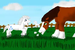 Size: 1260x850 | Tagged: safe, artist:horsesplease, derpibooru import, double diamond, trouble shoes, clydesdale, horse, pony, shetland pony, annoyed, cute, daaaaaaaaaaaw, double dawwmond, excited, grass, grazing, happy, horses doing horse things, playful, silly, silly pony, snorting, unamused