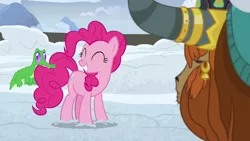 Size: 1280x720 | Tagged: safe, derpibooru import, screencap, gummy, pinkie pie, prince rutherford, pony, yak, not asking for trouble, biting, eyes closed, smiling, snow, tail bite